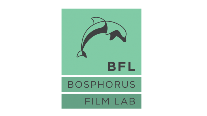 Present-day industry will be discussed within Bosphorus Film Lab